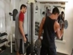 gay