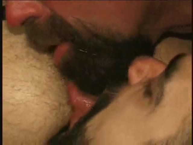 Two hairy lads Felching An booty Of spooge.  Titpig Is A Feature In This One, With Close Ups Of his Tongue And Great Goatee highlight him Teasing The 