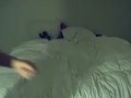 yummy cam