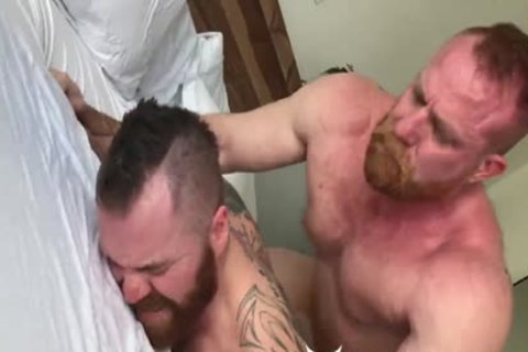 bare Bear's Breeding Zach & Eisen