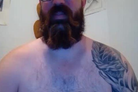 BEARDGAME227 IS LOOKING FOR A BEAR