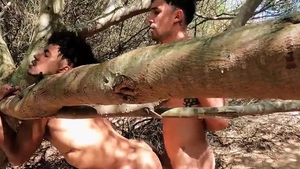 En Verano, Te Rompo El Ano two