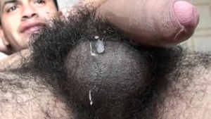 Vulcan Amateurs 77