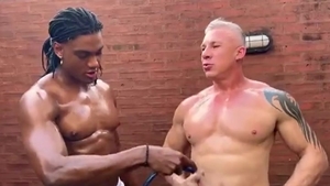 gigantic Roger With Braids