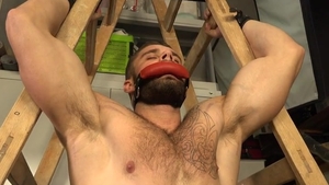 Playing With The Hunk