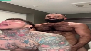 Persian Alpha Wolf Alphatopwolf22 pounds Gustavo Escobedo Thatmexaguy