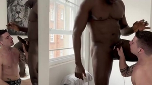 Interracial BBC Breeds White twink