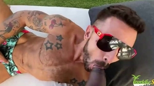 homo bang