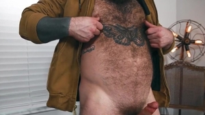 Cowboy Bear Solo