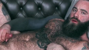 Cowboy Bear Solo
