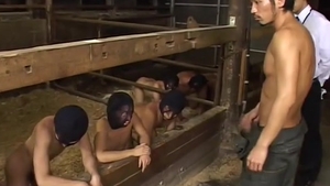 Koh Masaki - homosexual Milk Farm
